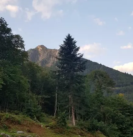 Appartement Cauterets Apartman *