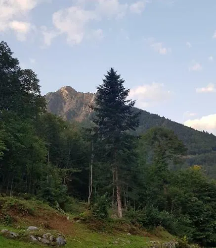 Appartement Cauterets شقة *